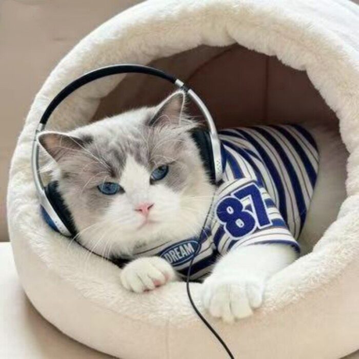 Cat Summer T-Shirt: Breathable Striped Tee for Cats...