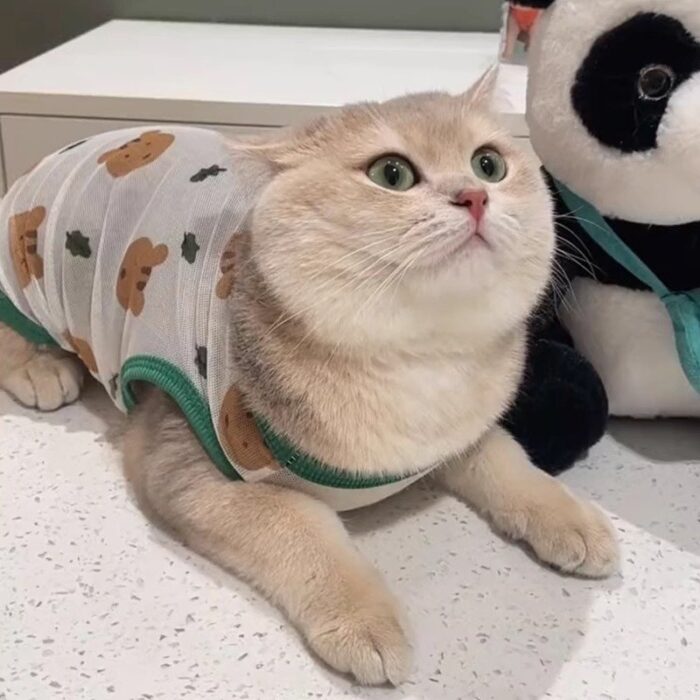 Cat Summer Vest Anti-Shedding Mesh Tank Small Dog