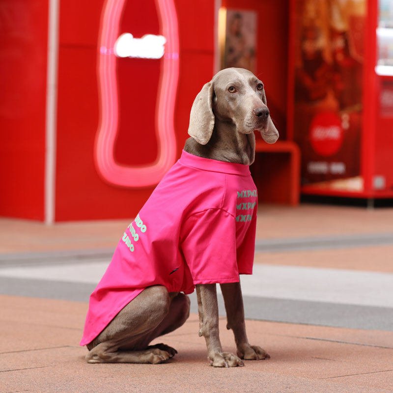 Product Name: Dog T-Shirt Summer Thin Breathable Pet...