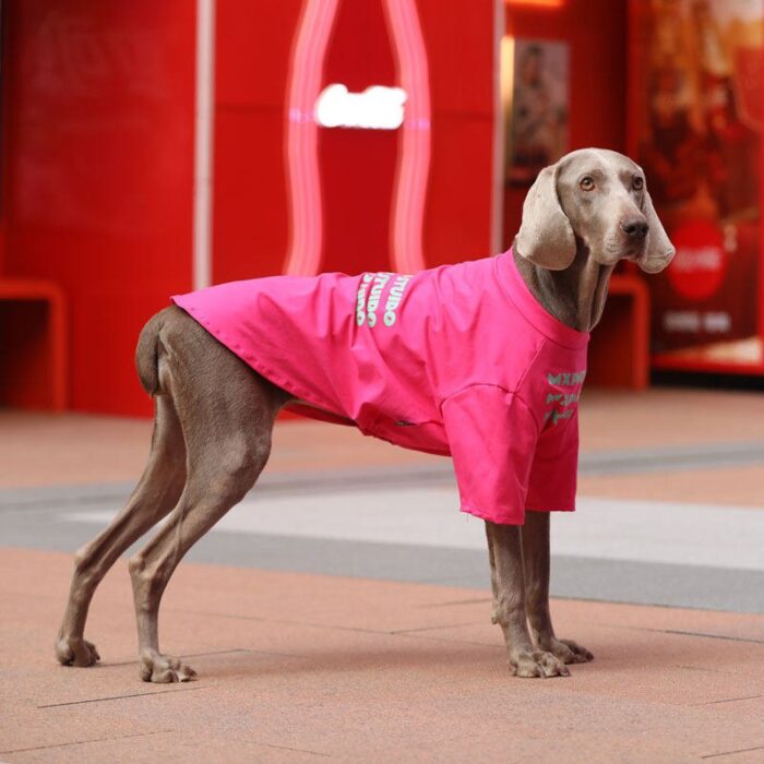 Product Name: Dog T-Shirt Summer Thin Breathable Pet...