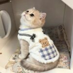 Fleece Cat Vest, Warm Fall & Winter Outerwear for Cats & Kittens