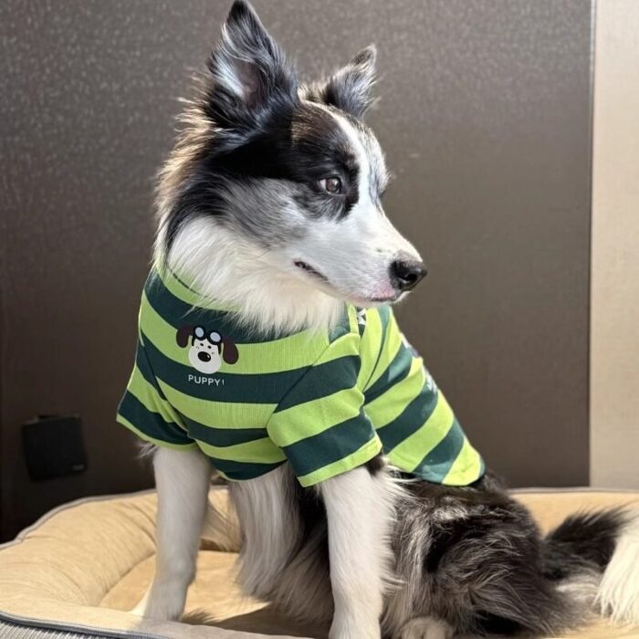 Product Name: Dog Summer Vest, Green Stripe Pet Apparel...