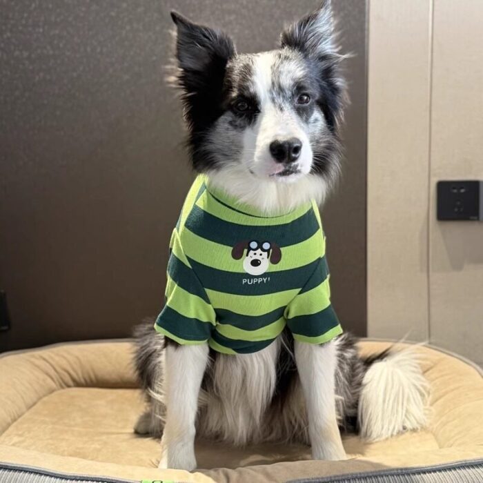 Product Name: Dog Summer Vest, Green Stripe Pet Apparel...