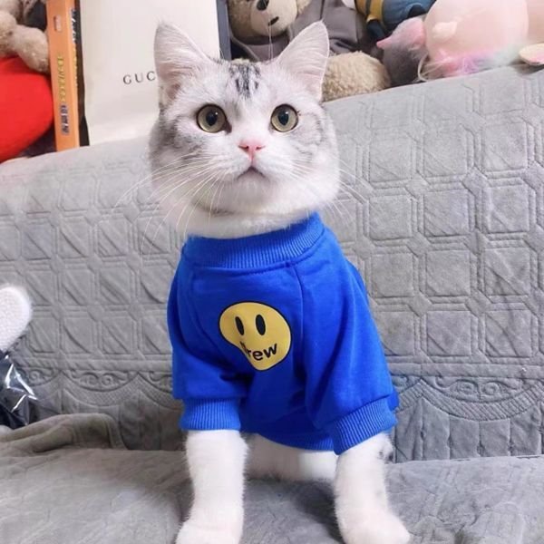 Cat Hoodie for Fall & Winter Warm Anti-Shedding