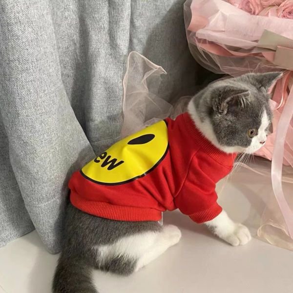 Cat Hoodie for Fall & Winter Warm Anti-Shedding