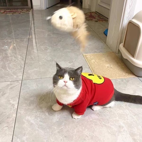 Cat Hoodie for Fall & Winter Warm Anti-Shedding