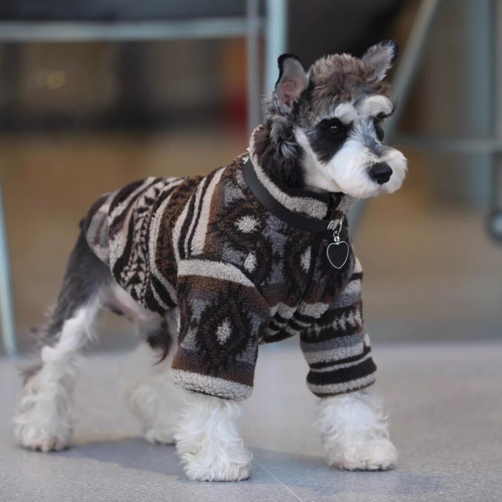 Pet Memorial Necklace: Dog Hoodie Fall & Winter Warm...