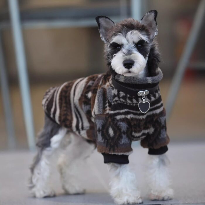 Pet Memorial Necklace: Dog Hoodie Fall & Winter Warm...