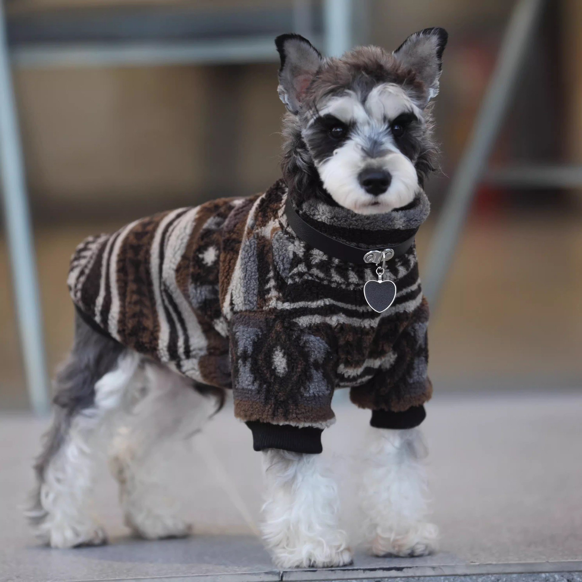 Pet Memorial Necklace: Dog Hoodie Fall & Winter Warm...
