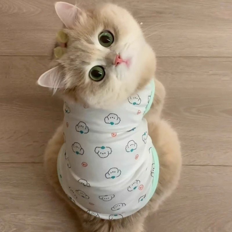 Cat Cooling Vest Shirt, Breathable Thin...