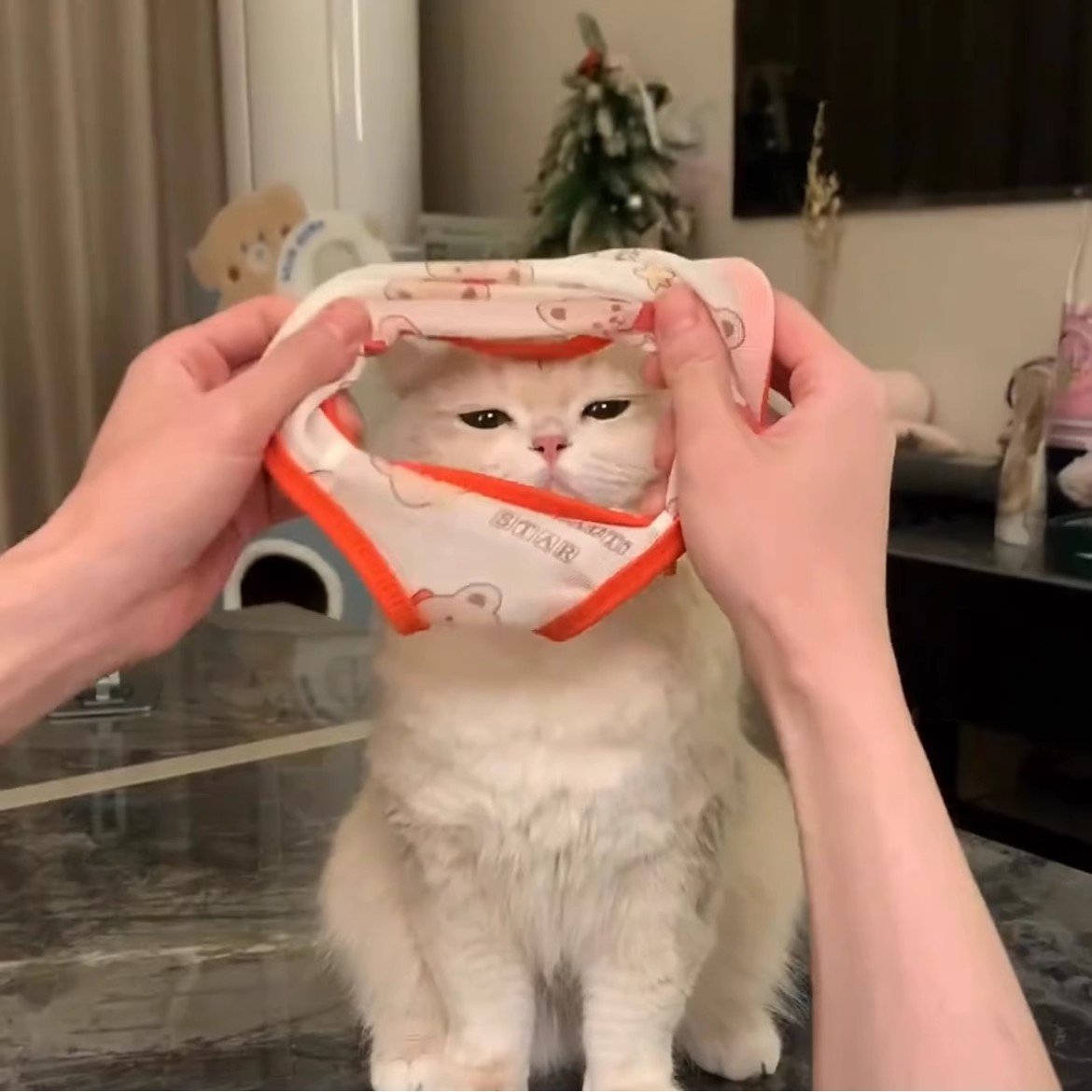 Cat Cooling Vest Shirt, Breathable Thin...