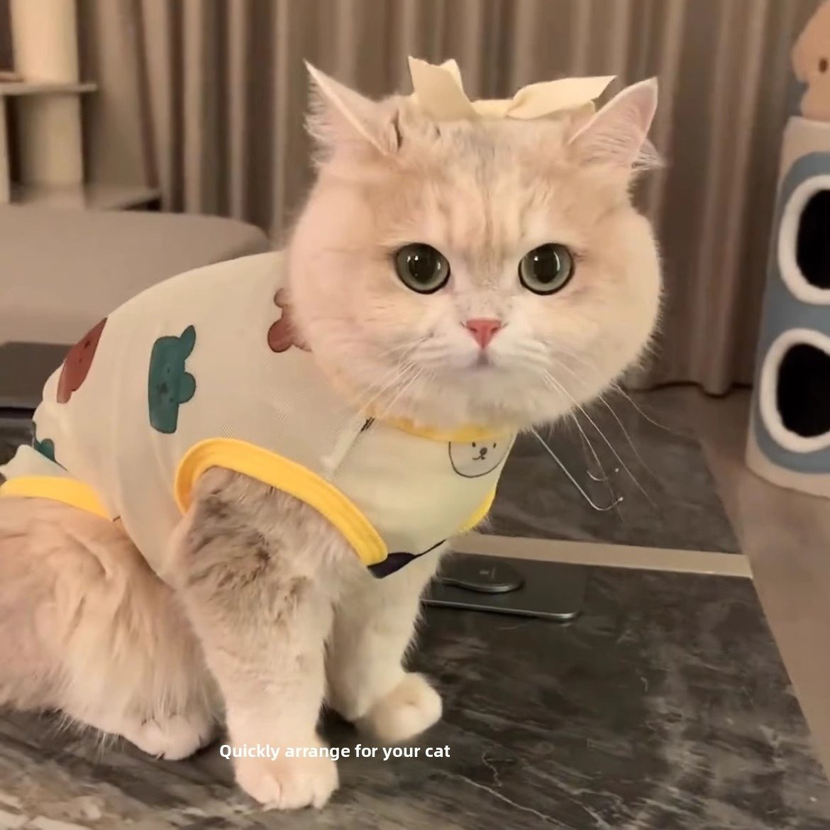 Cat Cooling Vest Shirt, Breathable Thin...
