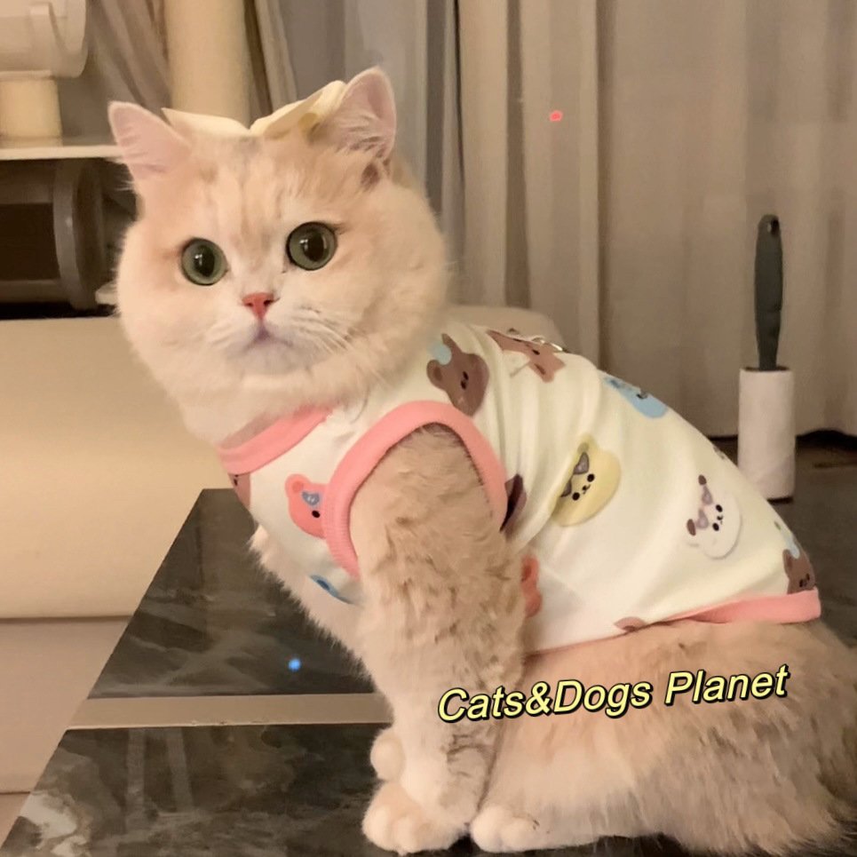 Cat & Small Dog Summer Vest, Leash Clip,...