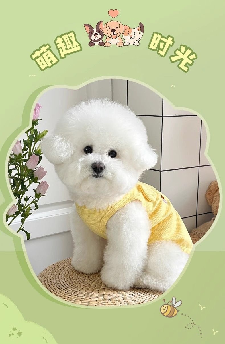 Product Name: Dog Summer Vest, Breathable Anti-Shedding...