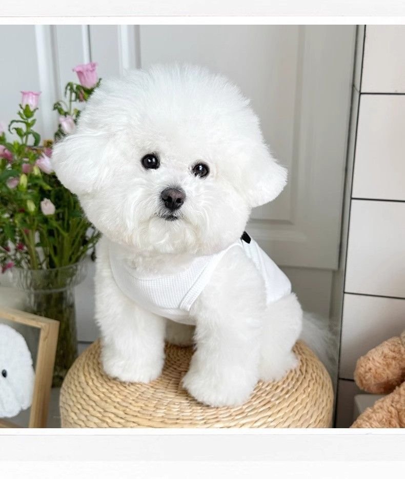 Product Name: Dog Summer Vest, Breathable Anti-Shedding...