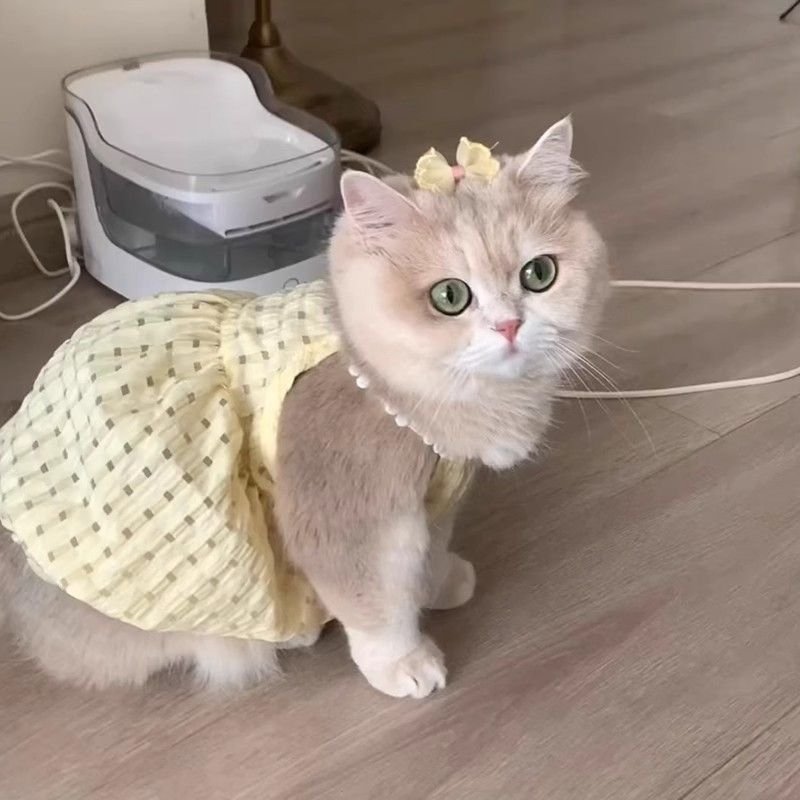 Cat Summer Tutu Dress Anti-Shedding