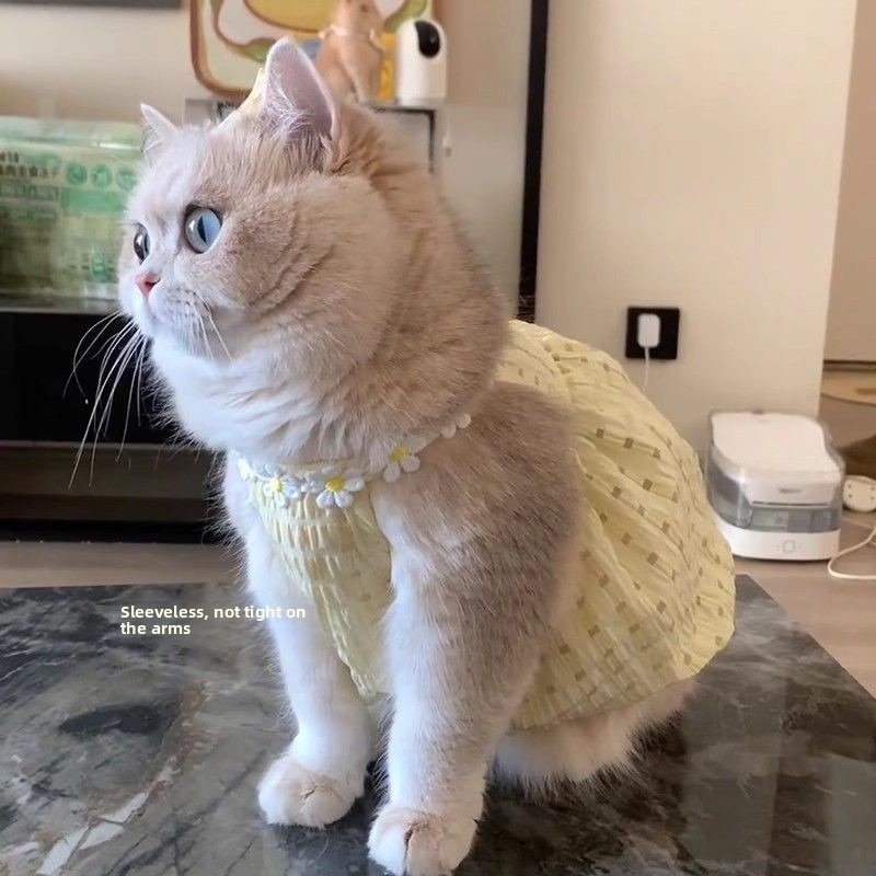 Cat Summer Tutu Dress Anti-Shedding