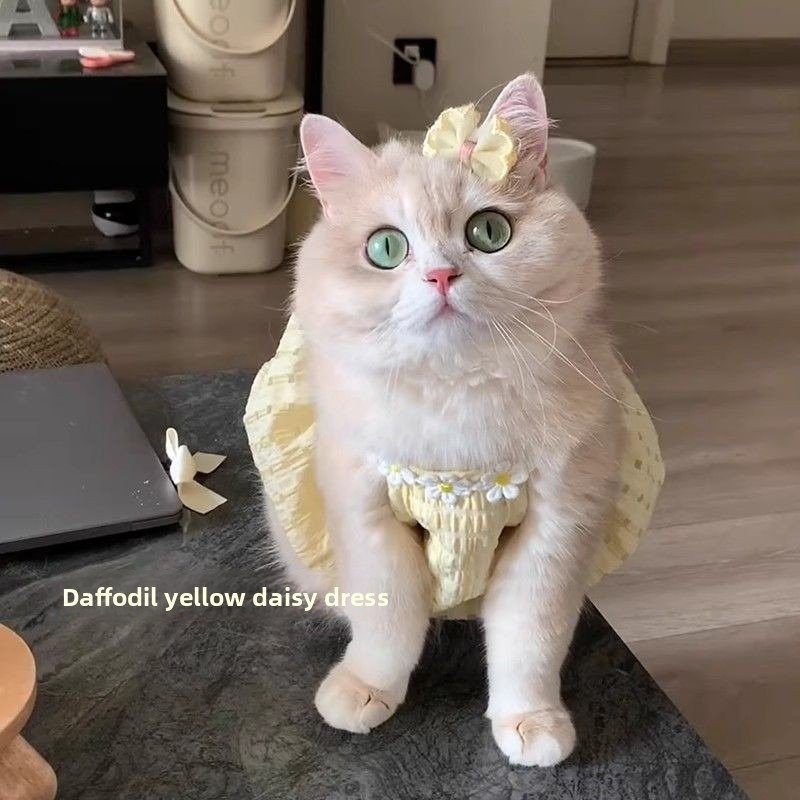 Cat Summer Tutu Dress Anti-Shedding