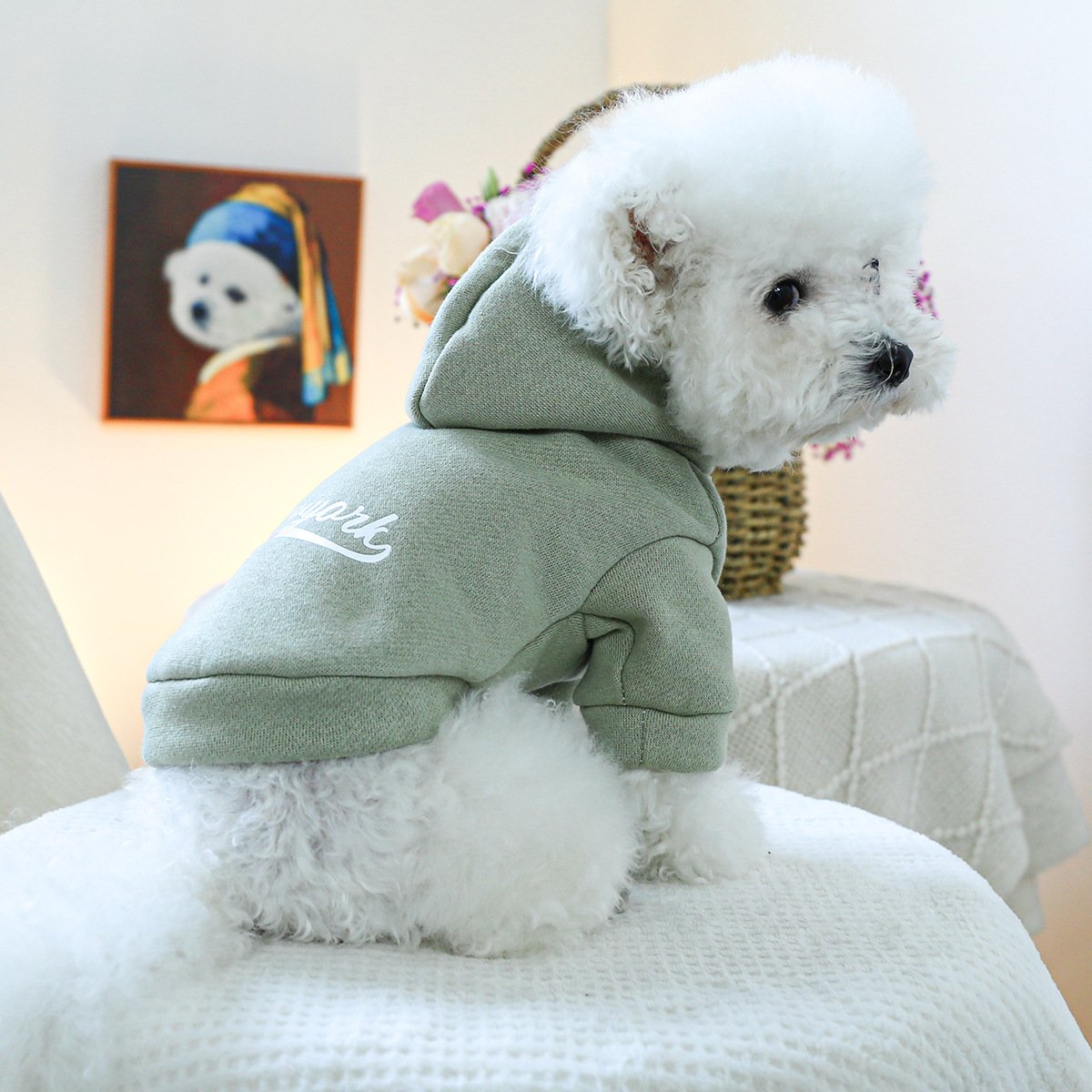 Product Name: Pet Hoodie Fall & Winter Dog Cat...
