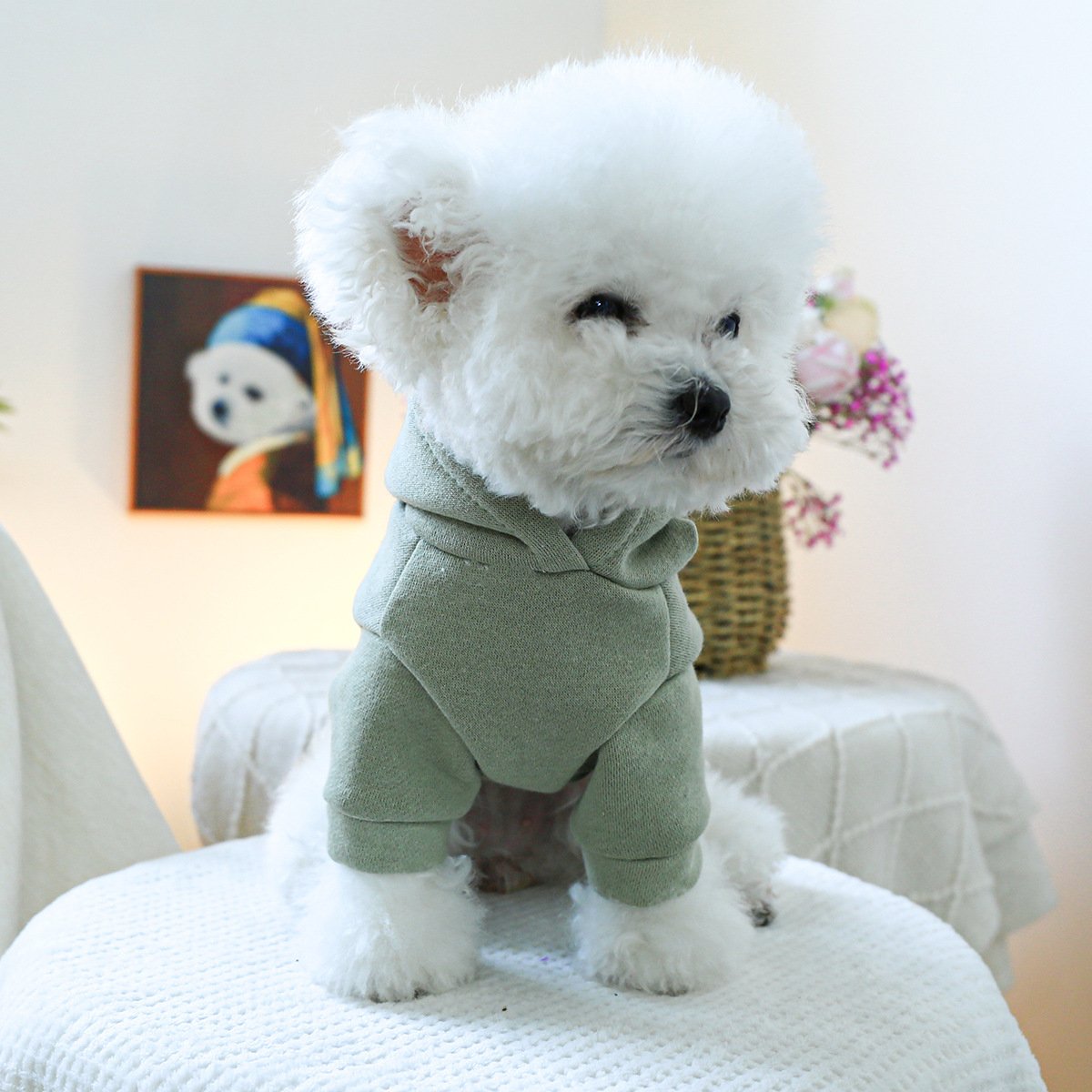 Product Name: Pet Hoodie Fall & Winter Dog Cat...