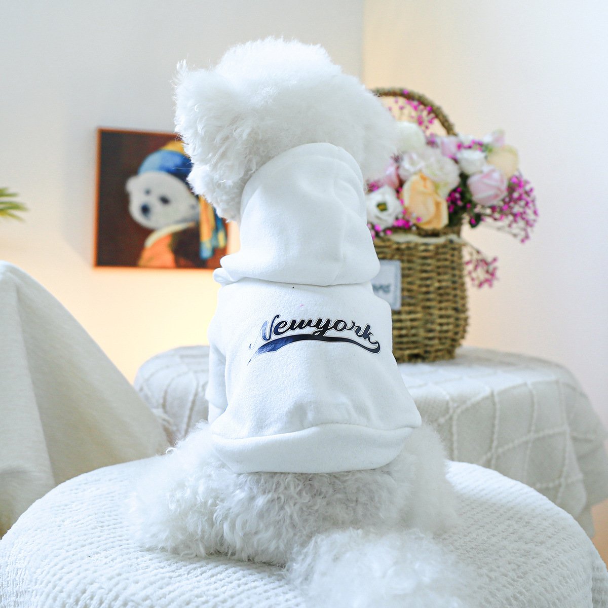 Product Name: Pet Hoodie Fall & Winter Dog Cat...