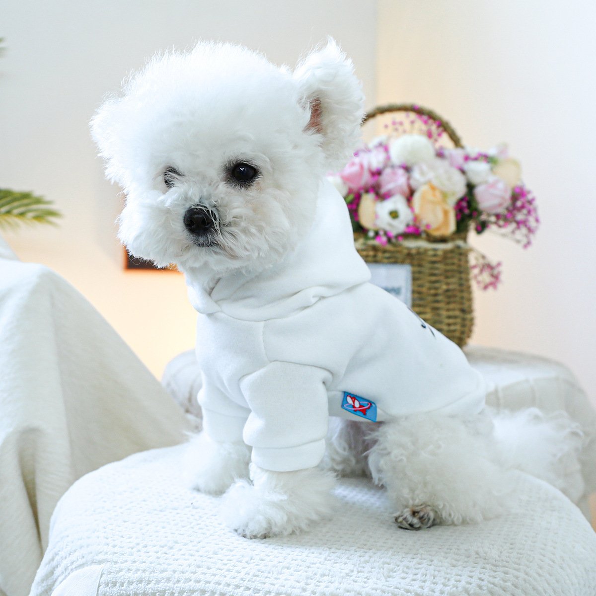 Product Name: Pet Hoodie Fall & Winter Dog Cat...