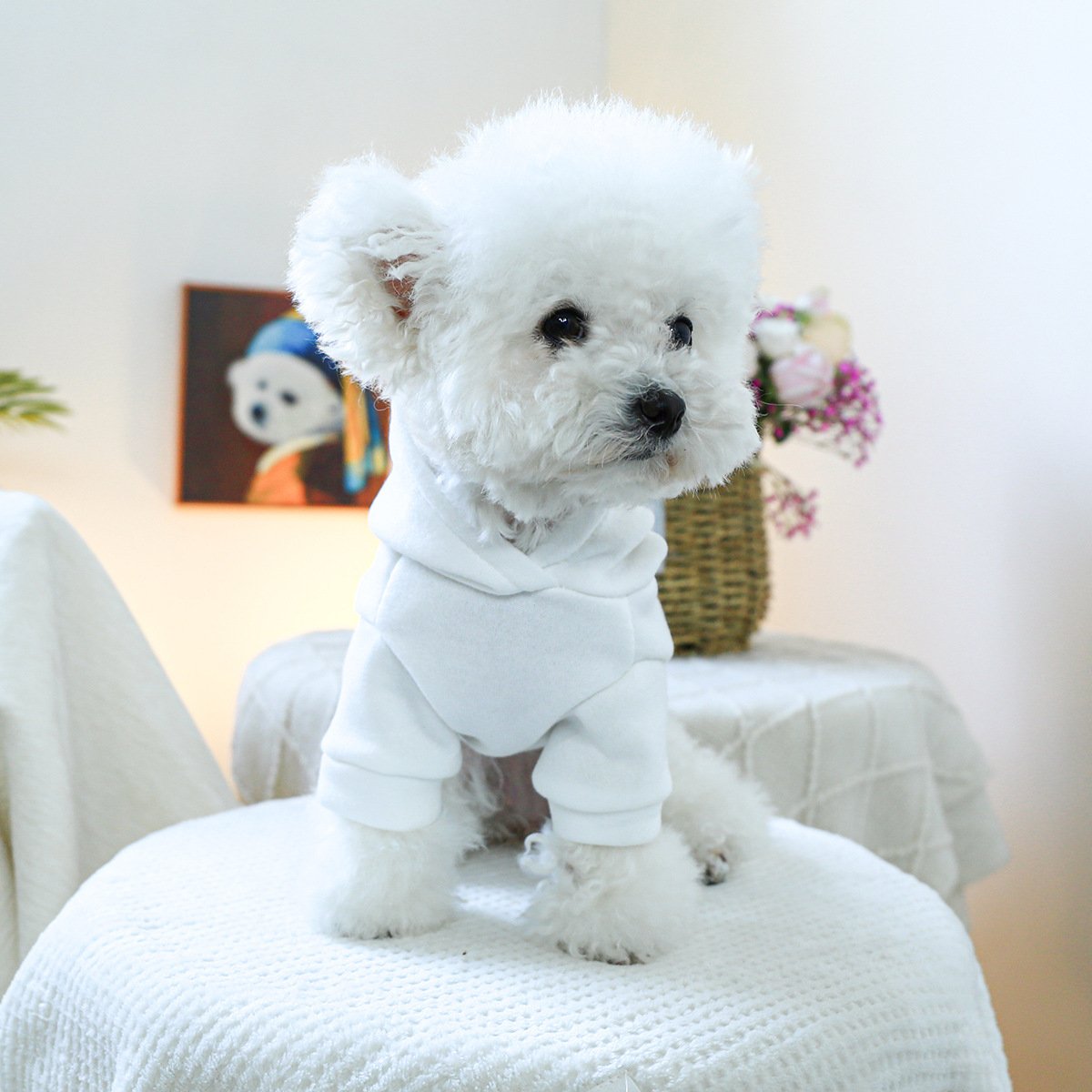 Product Name: Pet Hoodie Fall & Winter Dog Cat...