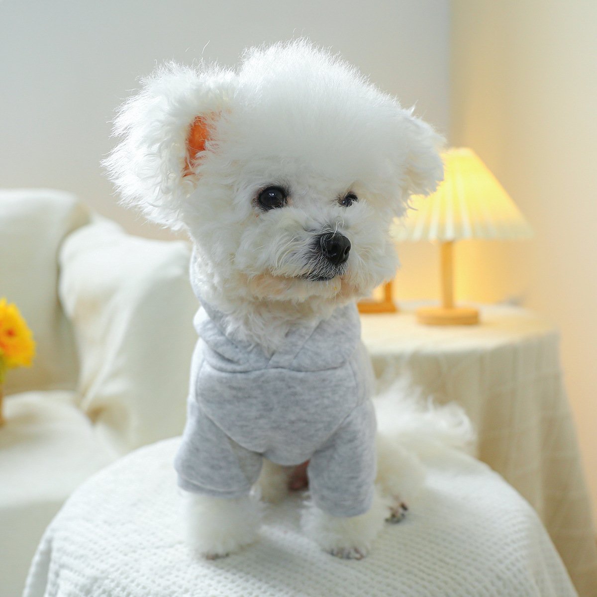 Product Name: Pet Hoodie Fall & Winter Dog Cat...