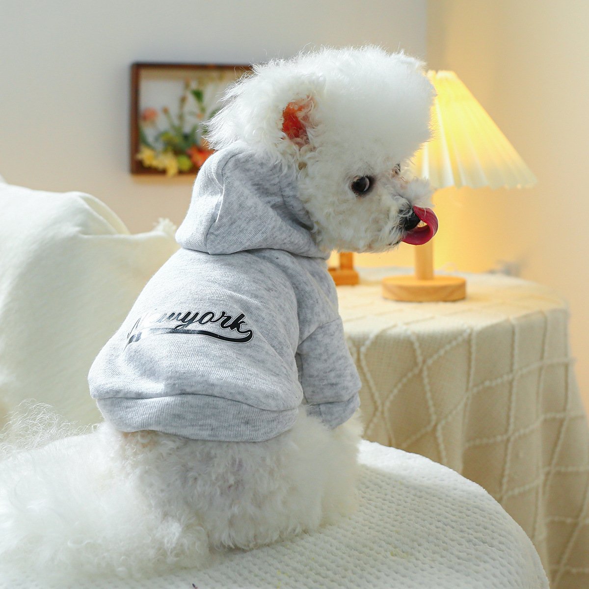 Product Name: Pet Hoodie Fall & Winter Dog Cat...