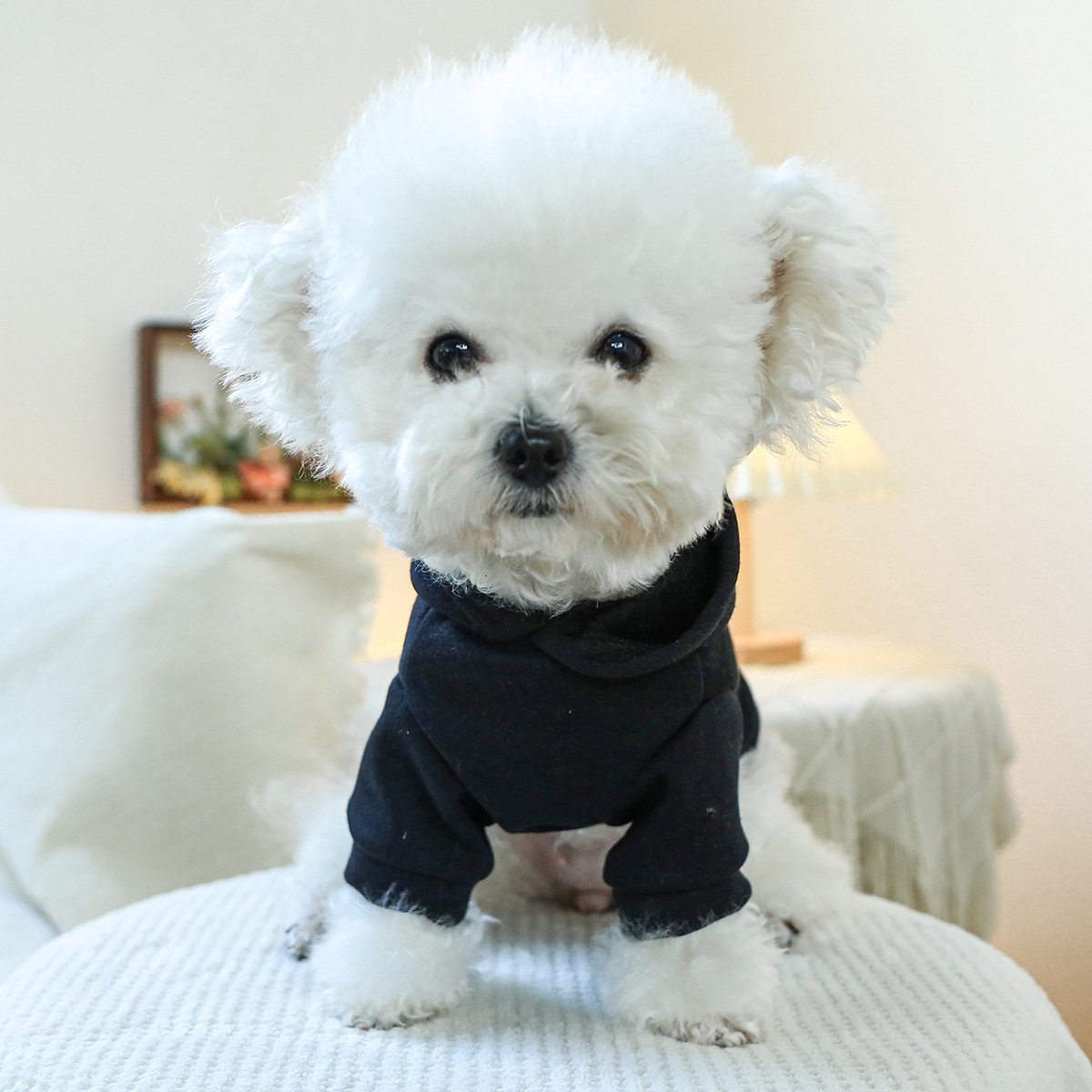 Product Name: Pet Hoodie Fall & Winter Dog Cat...
