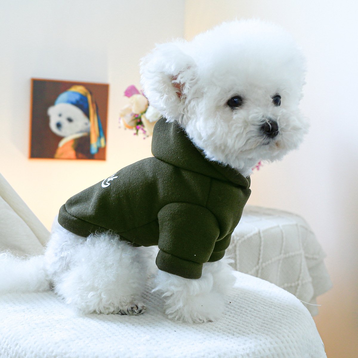 Product Name: Pet Hoodie Fall & Winter Dog Cat...
