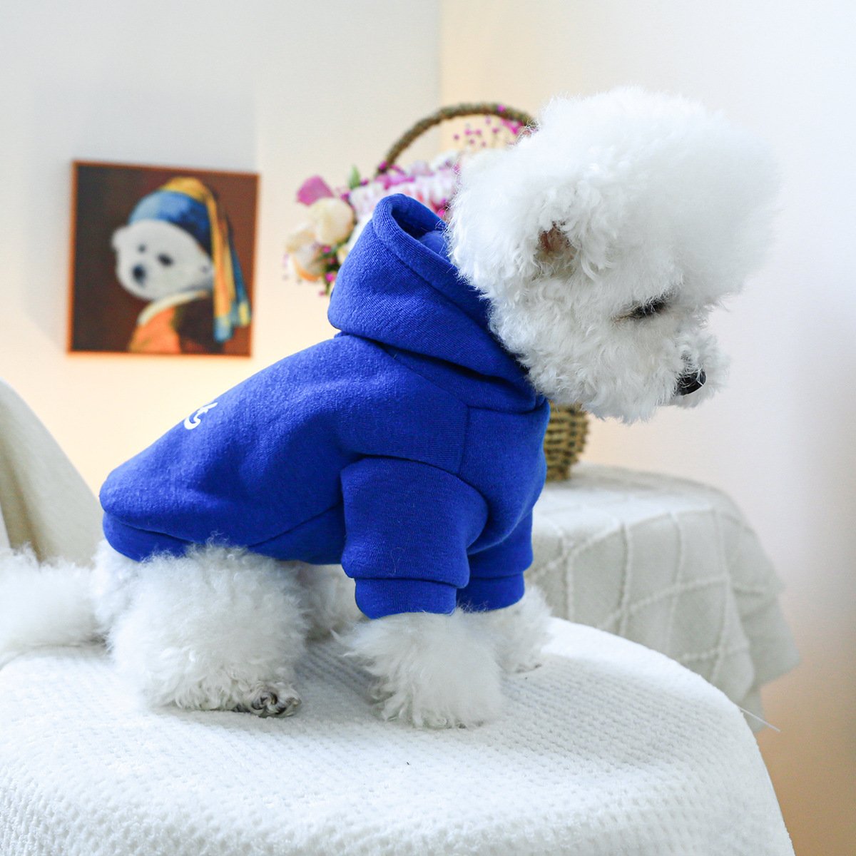 Product Name: Pet Hoodie Fall & Winter Dog Cat...