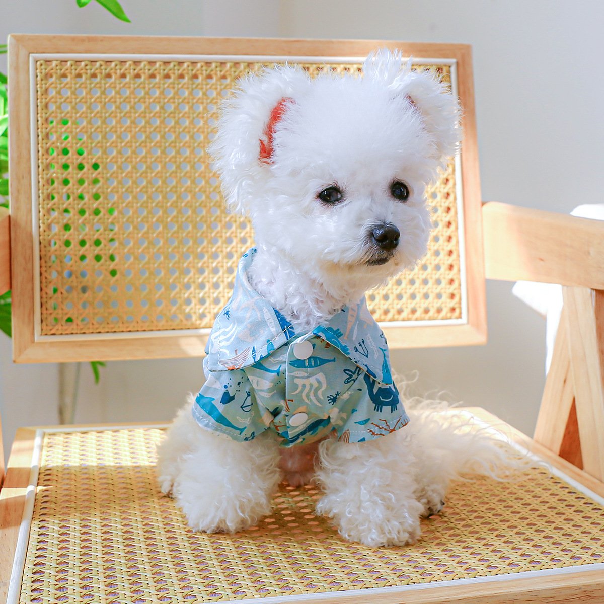 Product Name: Dog Cat Spring & Summer Floral Shirt for...