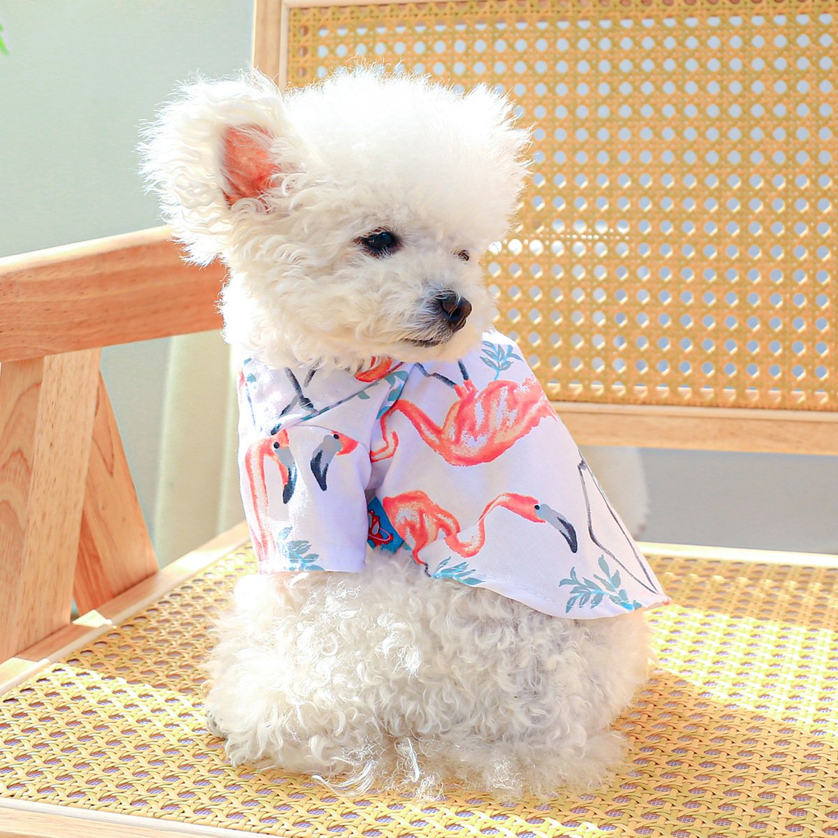 Product Name: Dog Cat Spring & Summer Floral Shirt for...