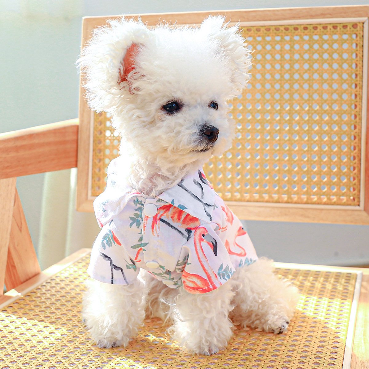Product Name: Dog Cat Spring & Summer Floral Shirt for...