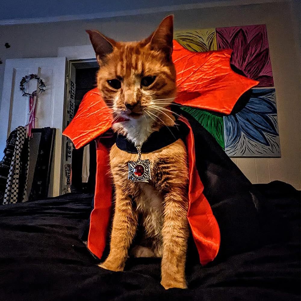 Halloween Pet Vampire Cape – Cross-Border Bestseller, Stand Collar Cat & Dog Cloak, Magic Witch Costume for Party Dressing
