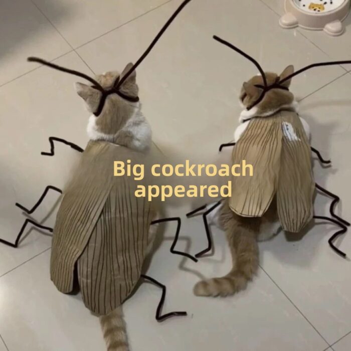 Playful Cockroach & Spicy Cat Costume DIY Felt Craft Kit with Chenille Stems — Creative Funny Prop for Pets
