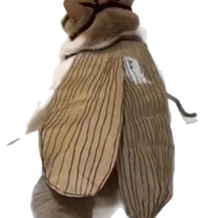 Playful Cockroach & Spicy Cat Costume DIY Felt Craft Kit with Chenille Stems — Creative Funny Prop for Pets