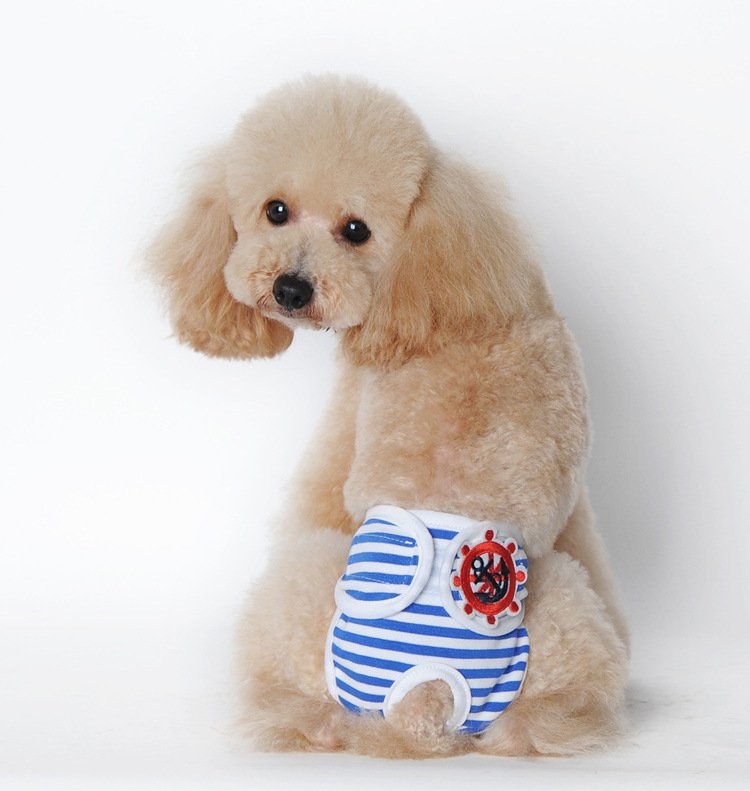 Source factory pet sanitary pants for female dogs, washable dog period pants, anti-harassment pet supplies wholesale
