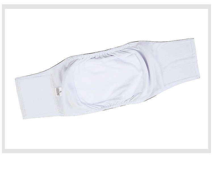Source factory pet sanitary pants for female dogs, washable dog period pants, anti-harassment pet supplies wholesale