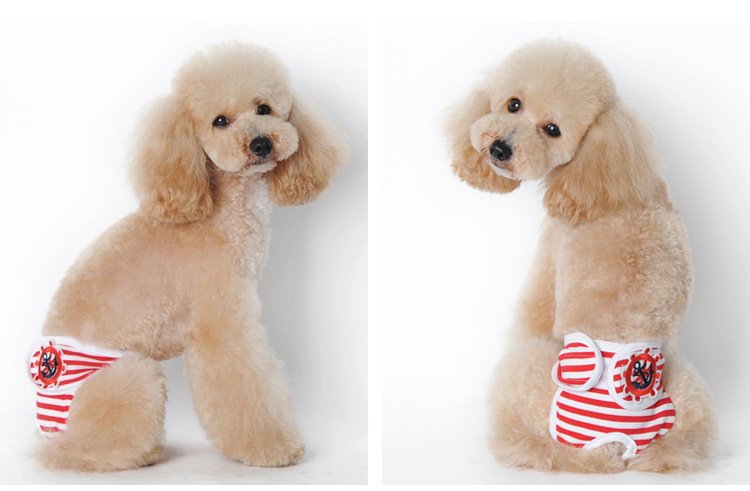 Source factory pet sanitary pants for female dogs, washable dog period pants, anti-harassment pet supplies wholesale