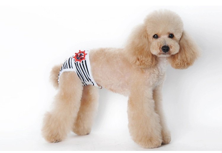 Source factory pet sanitary pants for female dogs, washable dog period pants, anti-harassment pet supplies wholesale