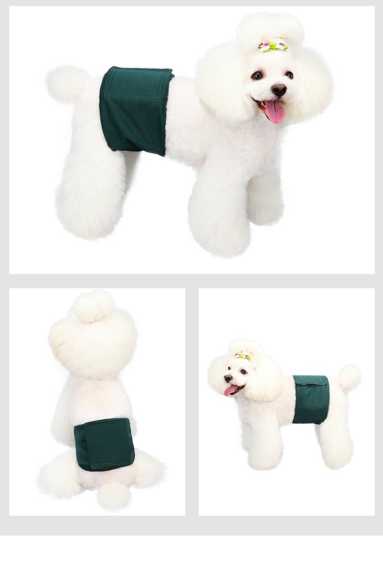 Source factory pet sanitary pants for female dogs, washable dog period pants, anti-harassment pet supplies wholesale