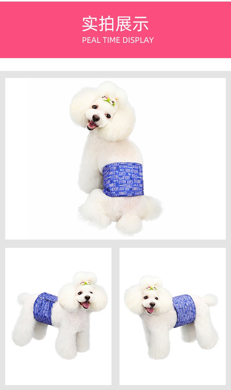 Source factory pet sanitary pants for female dogs, washable dog period pants, anti-harassment pet supplies wholesale