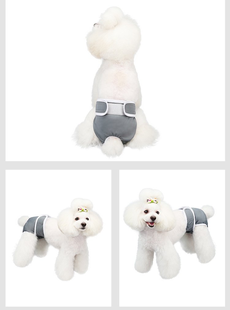Source factory pet sanitary pants for female dogs, washable dog period pants, anti-harassment pet supplies wholesale