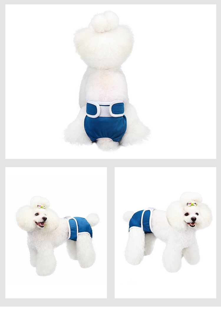 Source factory pet sanitary pants for female dogs, washable dog period pants, anti-harassment pet supplies wholesale