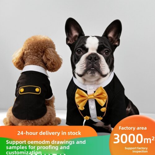 Spooky Pup Cosplay