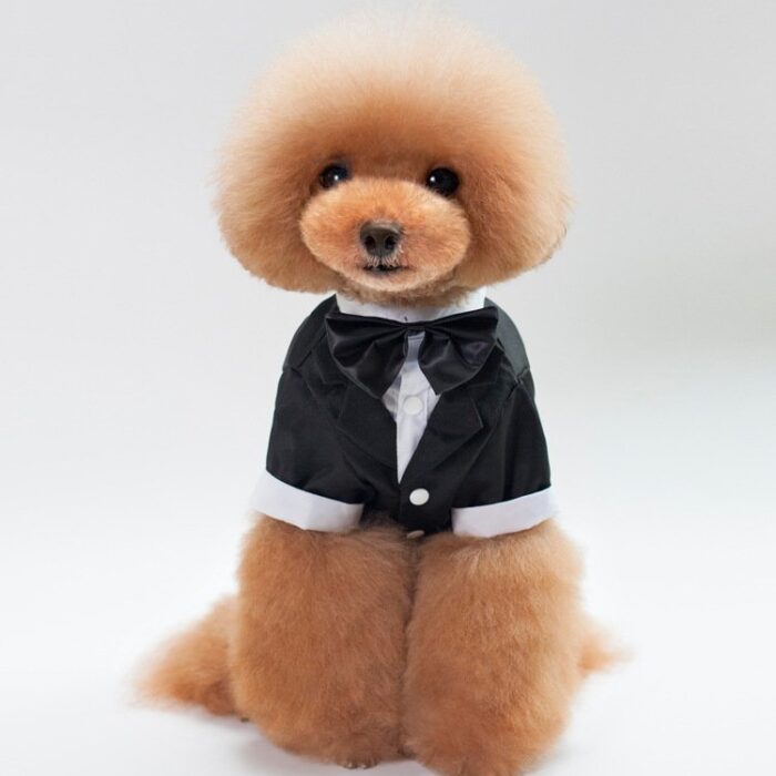 New Pet Dog Clothes Pet Apparel Wedding Suit Formal Wear Gentleman's Tuxedo for Teddy Bichon Teddy Dog Suit