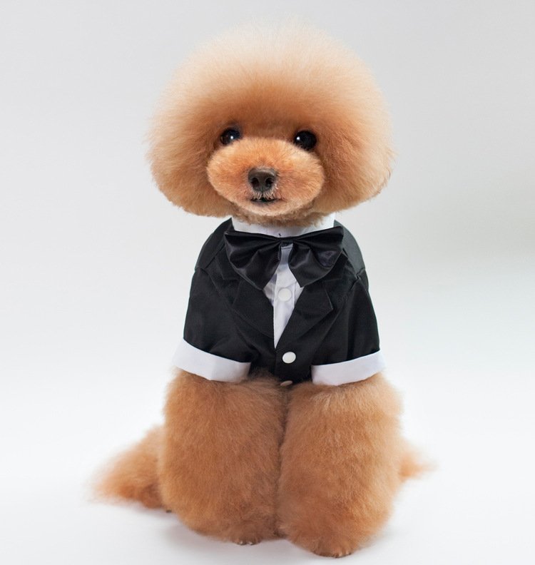 New Pet Dog Clothes Pet Apparel Wedding Suit Formal Wear Gentleman's Tuxedo for Teddy Bichon Teddy Dog Suit