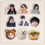 Cute DIY Pet Keepsake Soft Magnet, Custom Acrylic Fridge Decor